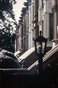 Front Staircases and Gaslights on Rutland Road - Lefferts Manor 1893-1993