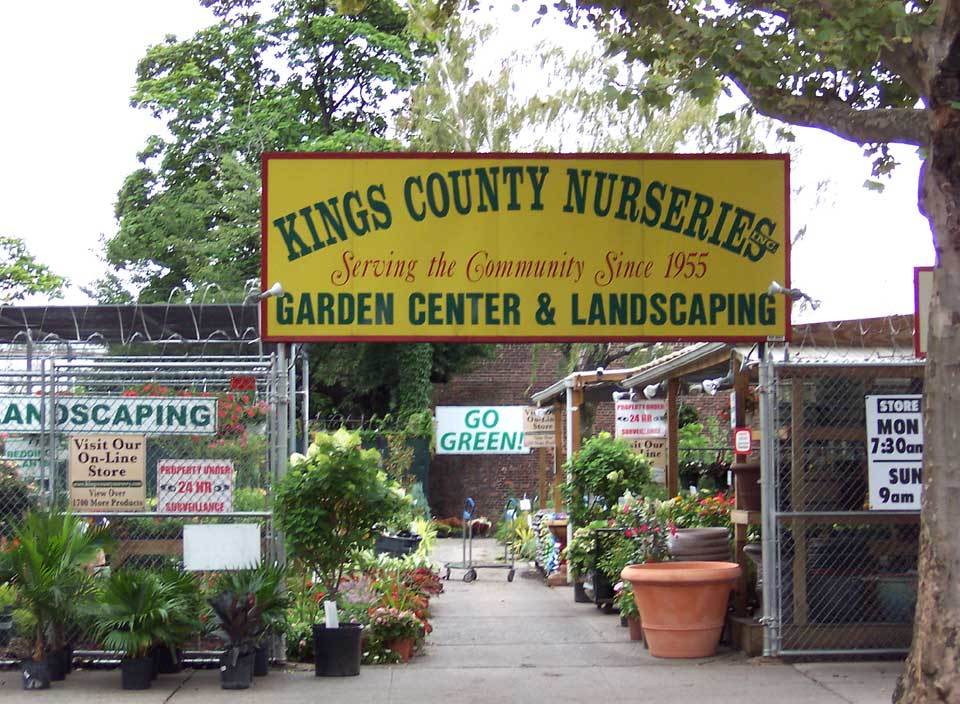 PLG News Round Up Lefferts Manor Association